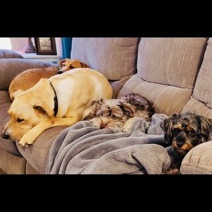 Meet your Posher, Amberlee